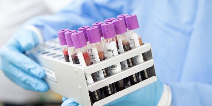 Modified CRISPR Corrects Cystic Fibrosis Mutations in Organoid Model