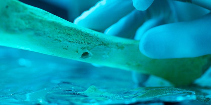 Ancient Humans Rarely Chose Cousins as Mates