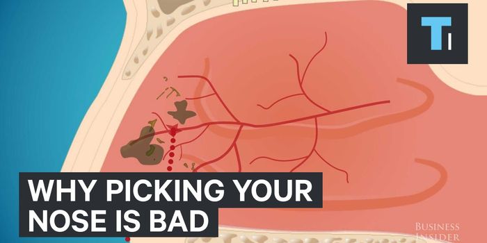 The Harmless Act of Nose-Picking is Not So Harmless