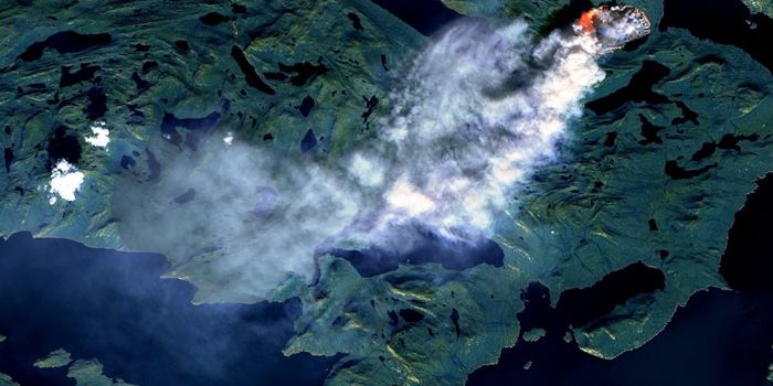 Burning Greenland: the low-down about wildfires on an ice sheet