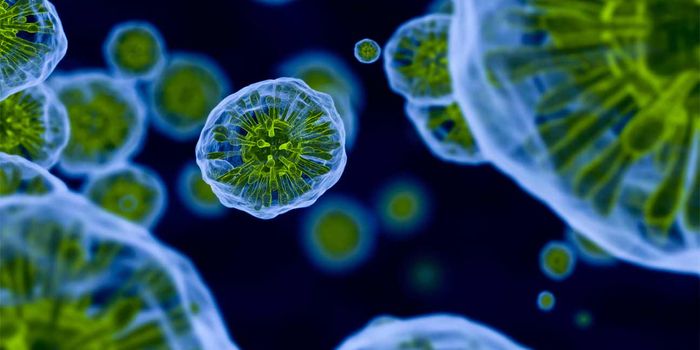 One Enzyme and the Innate Immune Response