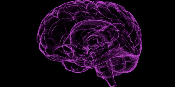 A Protein Pair That Supports the Alzheimer's Amyloid Hypothesis is Discovered