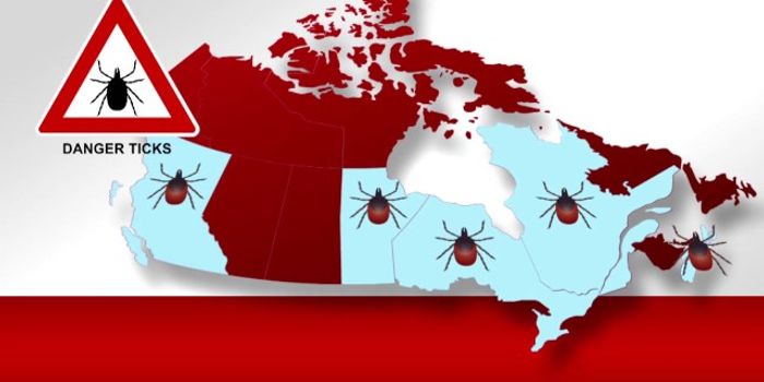 Environmental Concerns Over the Uptick in Ticks