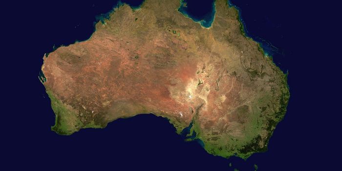 New Pterosaur Fossil discovered in Australia