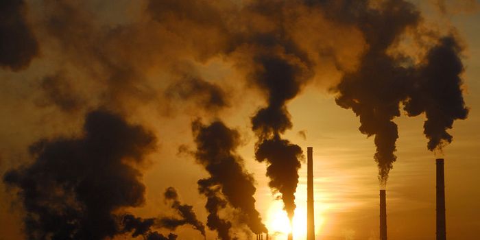 A new strategy for combating carbon emissions