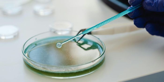 Fungal Compound Shows Promise for Replacing Opioids