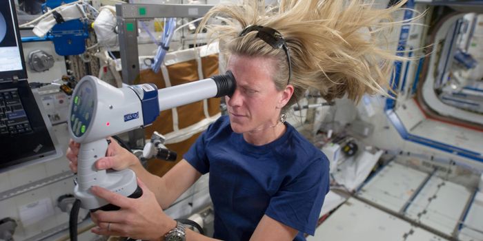 Mitigating Spaceflight Vision Risks: The Role of Portable Ultrasound in Polaris Dawn