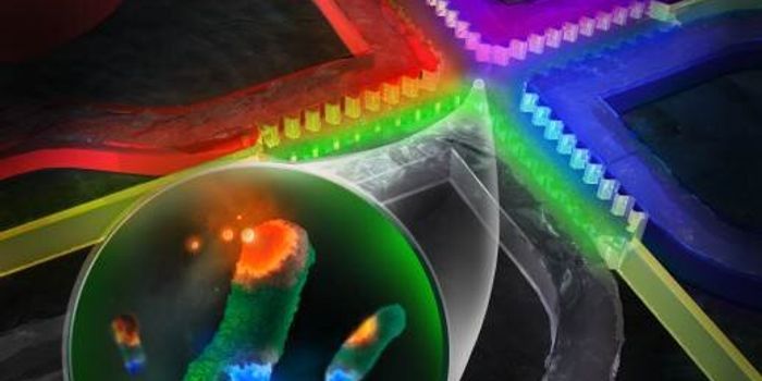 The Microfluidic-Based Drug Screening Chip