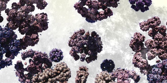 Bile Acids Have Close Links to the Gut Microbiome