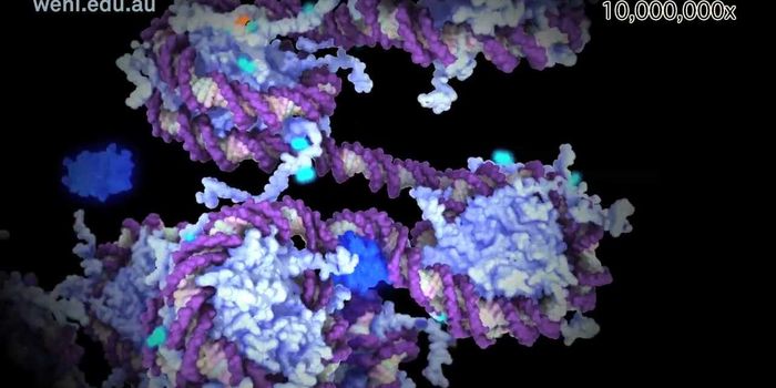 Understanding Why Some Birth Defects are More Common in Girls