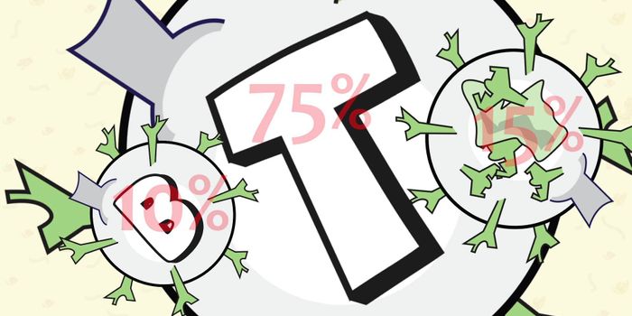 White Blood Cell Types and Functions
