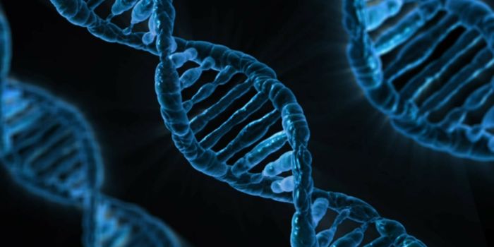Circulating Tumor DNA can Identify Mutations in Pancreatic Malignancies