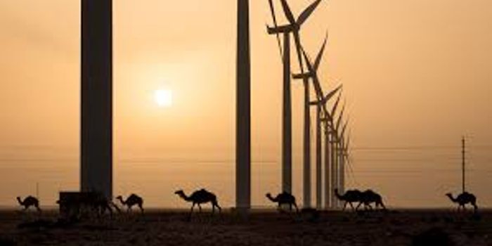 Solar and wind energy could bring rain to the Sahara