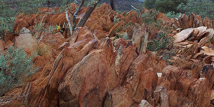 Research Suggests Life Started On Earth Earlier Than Once Thought