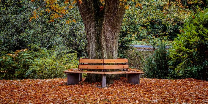 Almost 60% Canadian Cannabis Stores in Socially Deprived Areas