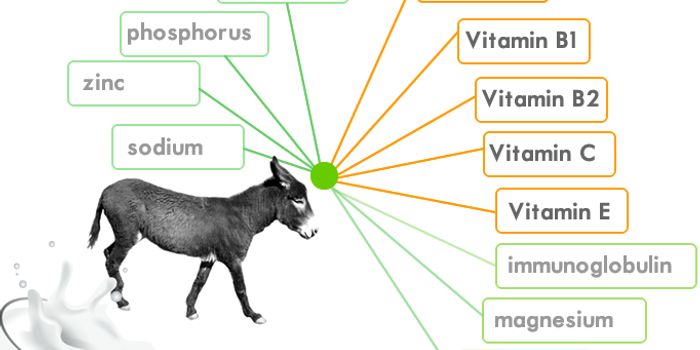 Donkey Milk as Functional "Pharmafood"