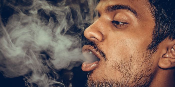 I'm Not a Lazy "Stoner" - Challenging Cannabis Stereotypes
