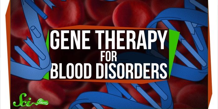 Why Gene Therapy for Blood Disorders is Especially Challenging