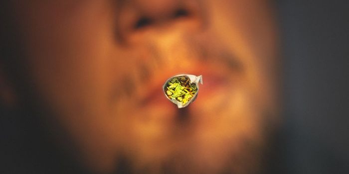 Safety Guidelines for Staying High During the Pandemic