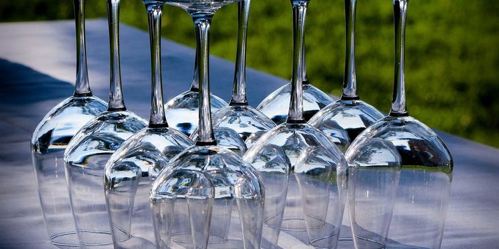 Dishwasher Rinse Chemicals Seem to Harm the Protective Gut Lining