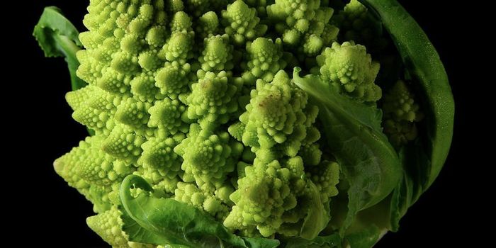 How Veggies Can Help You Fight a Lung Infection