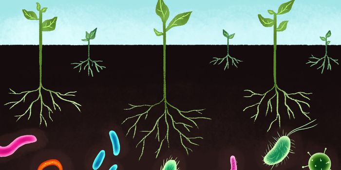 Do you know what your antibiotics are doing to the environment?