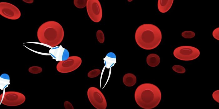 Making 'Super-plants' With Nanomaterials