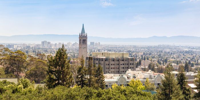 UC Berkeley Given Green Light to Study Marijuana