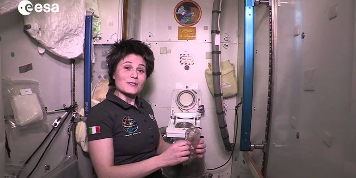 This is How a Space Toilet Works