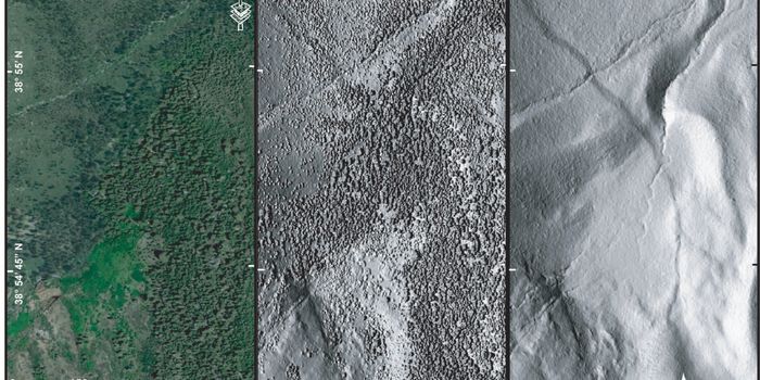 What is LiDAR? How Archaeologists See Through Forests to Find Ancient Ruins