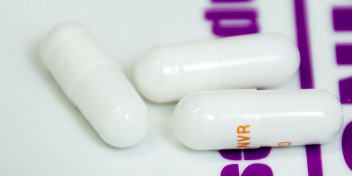 Chemopreventative Drug Targets H. Pylori Infections