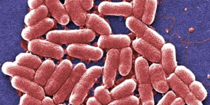 The Earliest Influences on the Microbiome Have a Lasting Impact