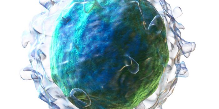 Can a Myeloid Marker Be Helpful in B-cell Neoplasm Diagnostic Testing?