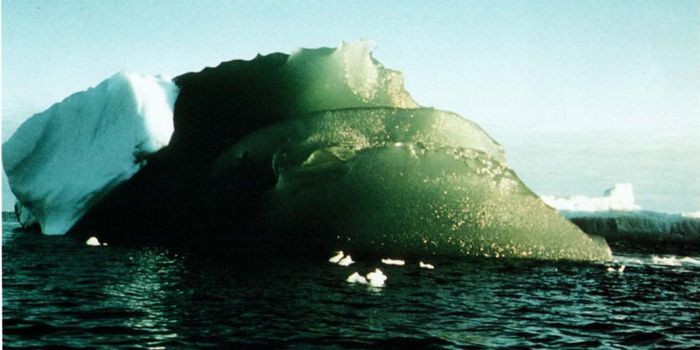 Why Are Some Icebergs Green?