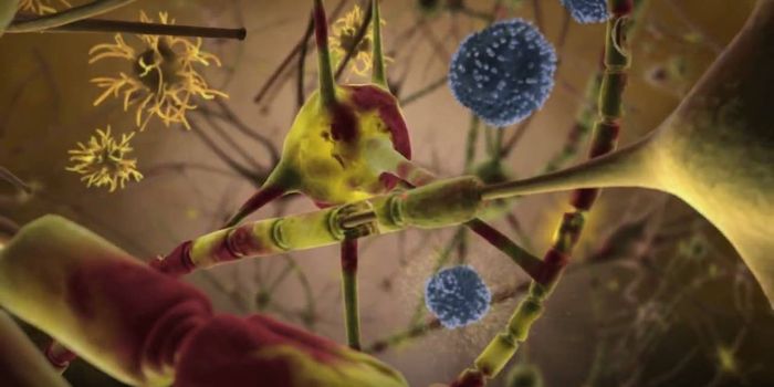 Autoimmune Diseases Are Triggered By Infection - But How?