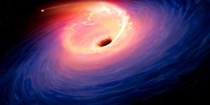 Stars Are Devoured by Black Holes More Often Than Previously Thought