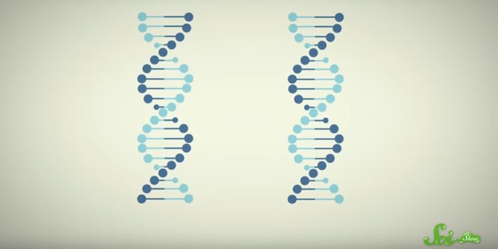 Levels of RNA Transcripts From 'Junk' DNA Get Higher as We Age
