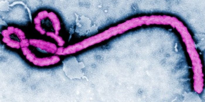 What Did They Know, When Did They Know It, and Where Do We Go From Here?