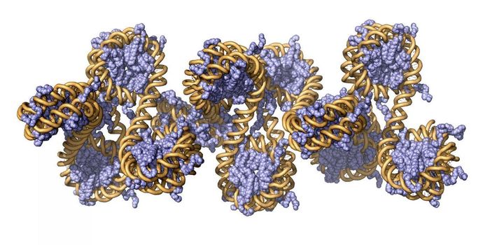 Insight Into the Control of Gene Expression