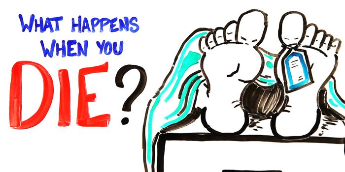 Here's What Happens to Your Body When You Die