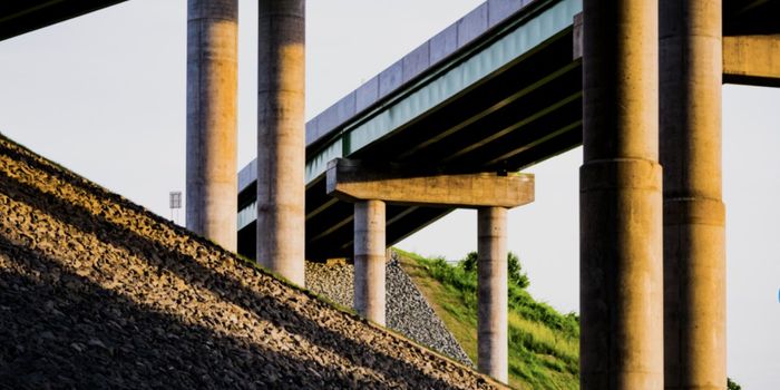 Concrete-Loving Bacteria Might be Helpful to Us