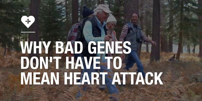 A Family History of Heart Disease Doesn't Spell Doom