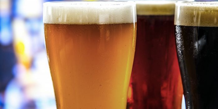 Cheers to Fermentation - Beer Day 2021