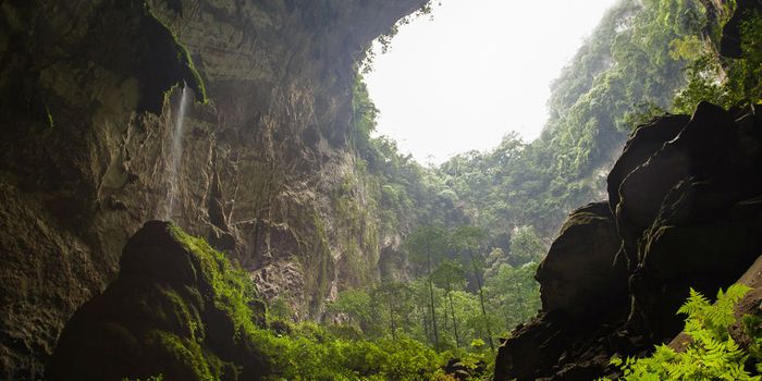 A cave so big, that it actually has its own jungle, waterfall and river