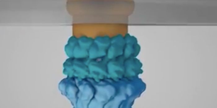 New Insight Into Bacterial Pathogenicity