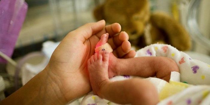 Preterm Babies More Likely to Have Heart Disease in Adulthood