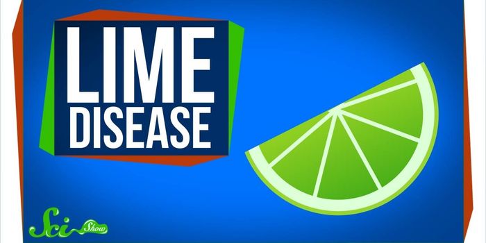 Lime Disease: How Citrus Chemicals Could Give You Blisters
