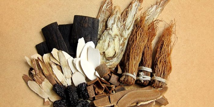 Study Finds Real Anticancer Effects in Chinese Herbs