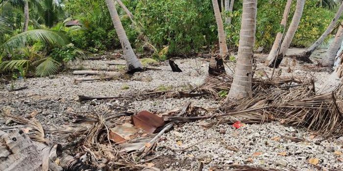 Sea-Level Rise Could Make Extreme Floods Frequent by 2050