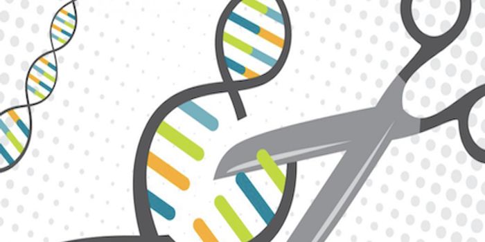 CRISPR Can Now Edit Genes Outside of the Cell
